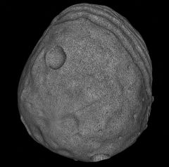 4Vesta-Asteroid3Dzip-Orbiter2016D3D9.jpg