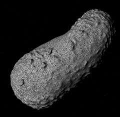 25143Itokawa-Asteroid3Dzip-Orbiter2016D3D9.jpg